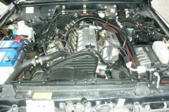 3971772